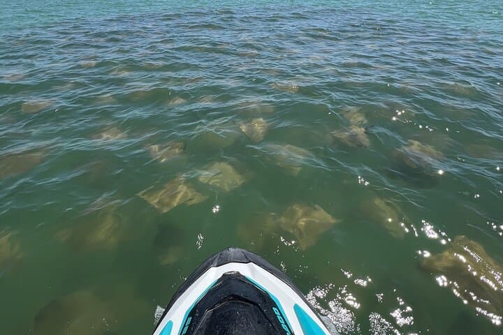Jet Ski Adventure: Explore Hidden Islands & Dolphins near St. Pete Beach photo 4
