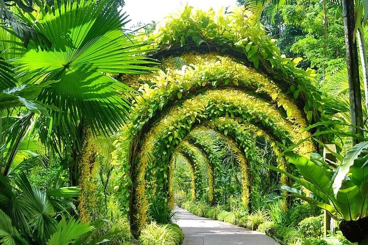 Inside Singapore National Orchid Garden: A Practical Visitor’s Guide photo 2