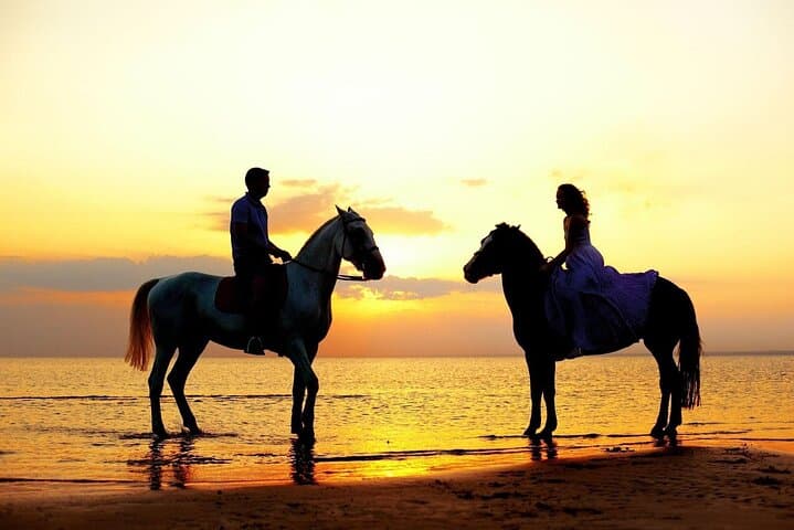 Sunset Horseback Ride at El Pozo de Cota — Cabo San Lucas Beach & Desert Tour photo 4