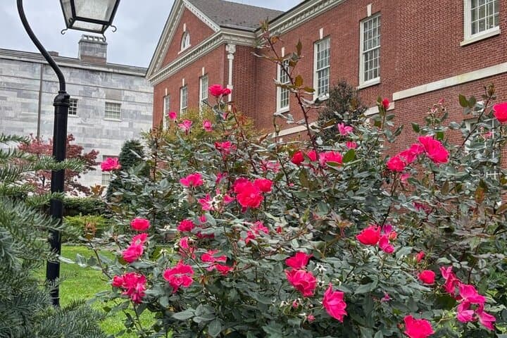 Historic Philly for Kids: 90-Minute Walking Tour (Ages 5–12) photo 4