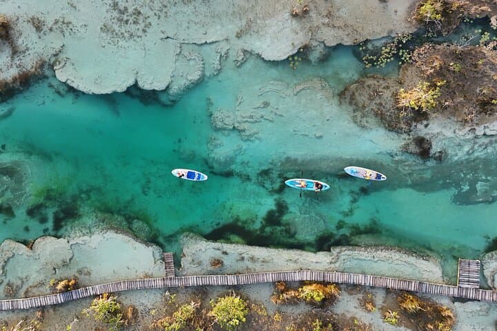 Bacalar Los Rápidos Sunrise Paddle Boarding: SUP Through Mangroves & Stromatolites
