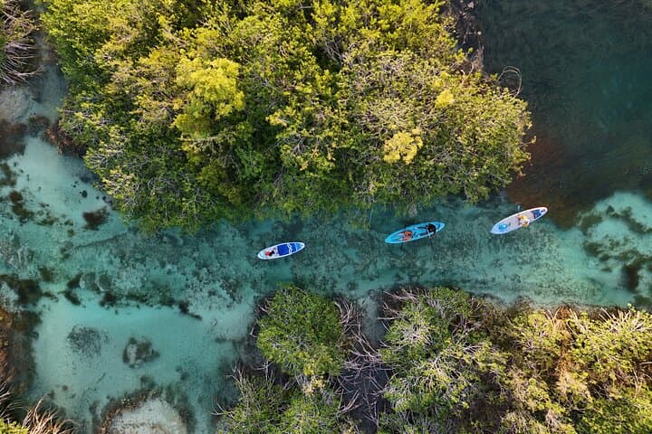 Bacalar Los Rápidos Sunrise Paddle Boarding: SUP Through Mangroves & Stromatolites photo 3