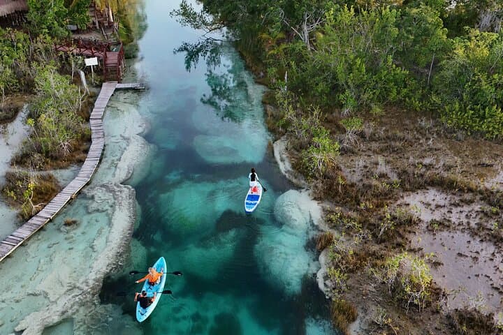 Bacalar Los Rápidos Sunrise Paddle Boarding: SUP Through Mangroves & Stromatolites photo 4