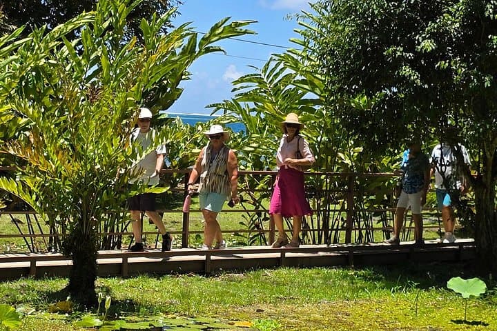 Half-Day Tahiti Circle-Island Tour: Waterfalls, Grottoes & Black-Sand Coast photo 3