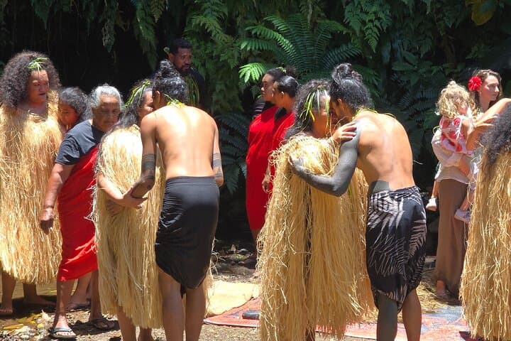 Half-Day Tahiti Circle-Island Tour: Waterfalls, Grottoes & Black-Sand Coast photo 1