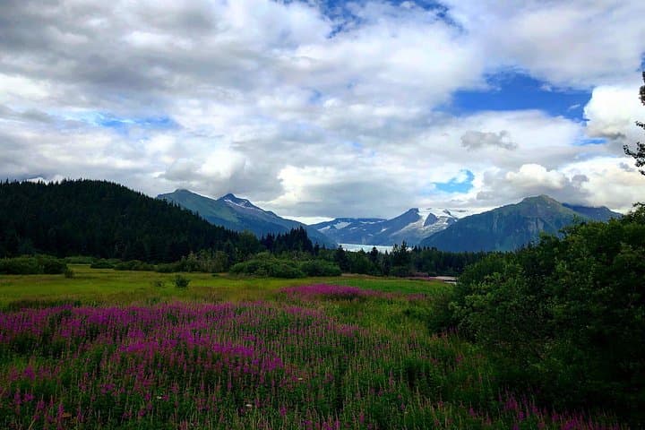 Juneau Shore Fishing: Salmon Casting with a Mendenhall Glacier Photo Stop photo 1