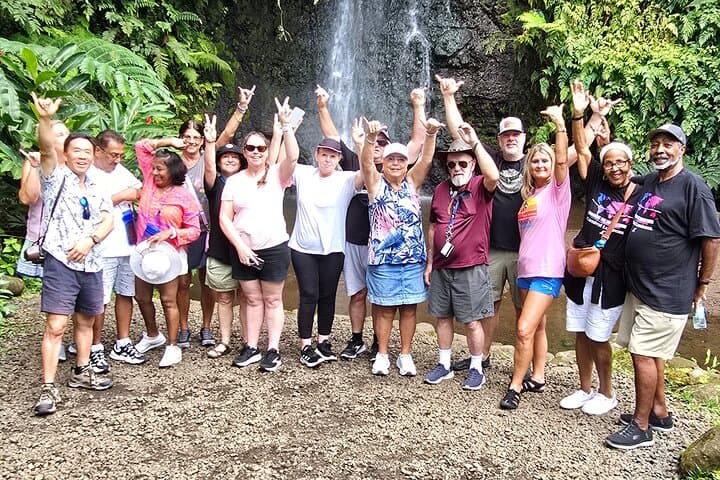 Half-Day Tahiti Circle-Island Tour: Waterfalls, Grottoes & Black-Sand Coast photo 2