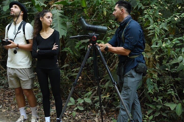 Manuel Antonio Nature Tour: Guided Wildlife Hike & Beach Visit