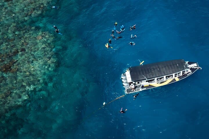 Half-Day Great Barrier Reef Snorkel from Cairns — Small-Group Outer Reef Trip