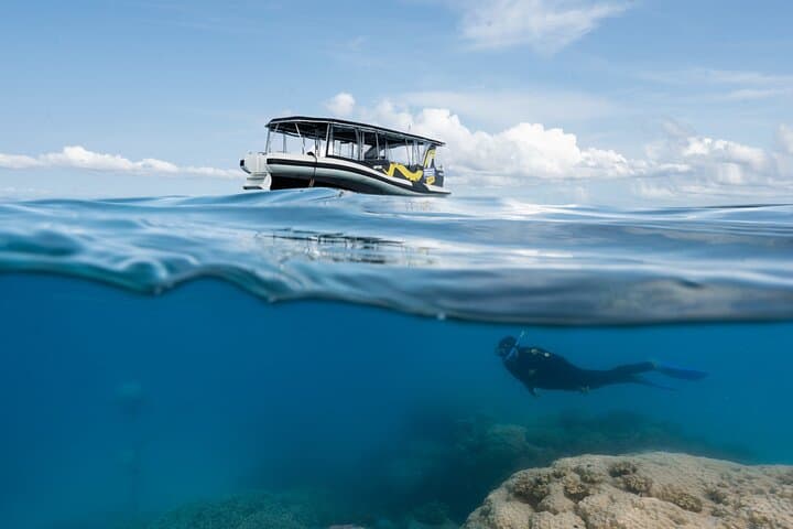 Great Barrier Reef Small-Group Snorkelling Adventure from Cairns photo 3