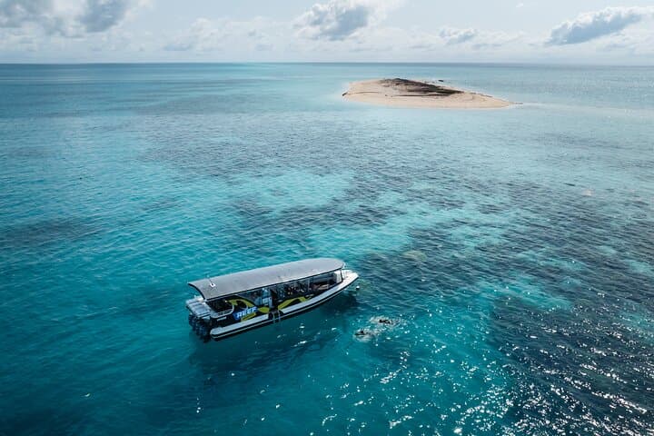 Great Barrier Reef Small-Group Snorkelling Adventure from Cairns photo 6