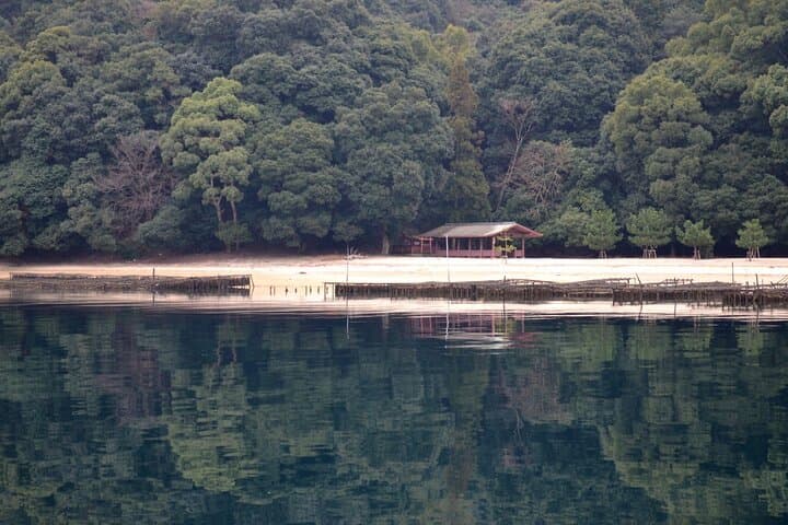 Miyajima Private Shrine Cruise: Sea Worship, Torii Views & Oyster Rafts photo 3