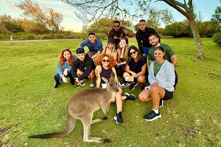 Jervis Bay & Kiama South Coast Day Tour from Sydney — Sea Cliff Bridge, Hyams Beach & Blowhole photo 2