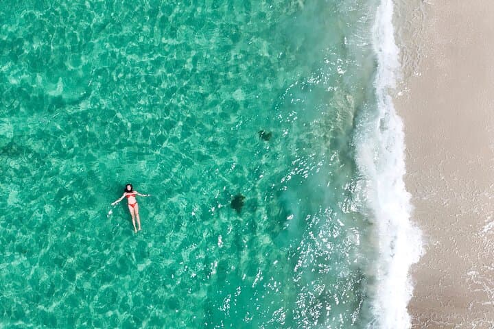 Jervis Bay & Kiama South Coast Day Tour from Sydney — Sea Cliff Bridge, Hyams Beach & Blowhole photo 6