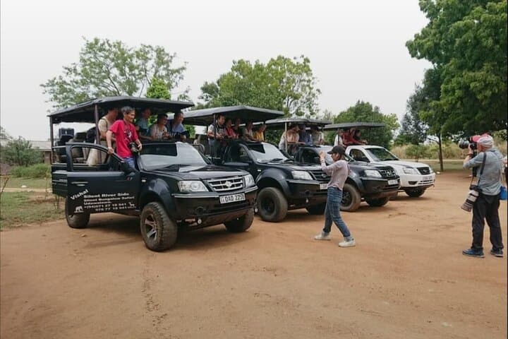 Udawalawe Safari Day Trip from Galle — Elephants & Elephant Transit Home photo 1