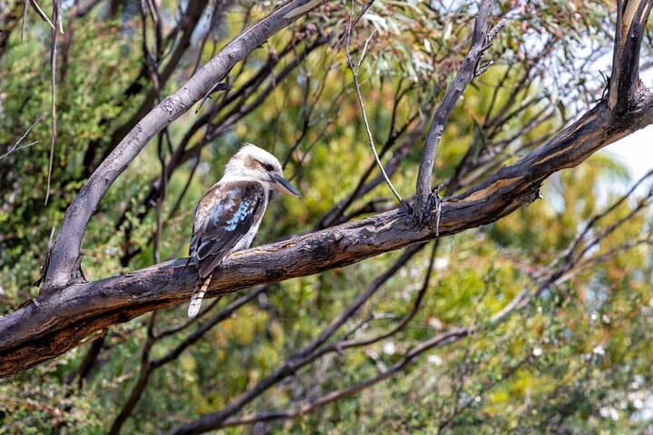 Ku-ring-gai Chase National Park Day Hike, Swim & Picnic from Sydney photo 3