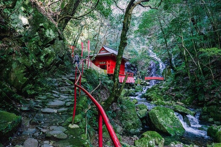 Shipporyu-ji Shugendo Waterfall Tour Near KIX: A 3‑Hour Sacred Forest Walk photo 5