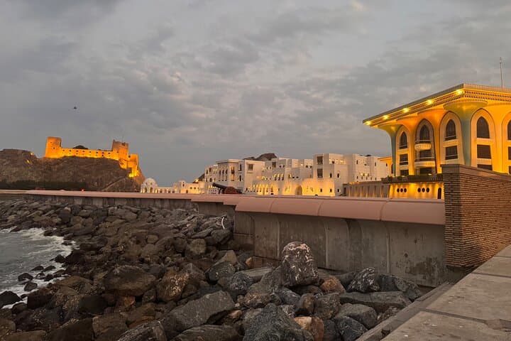Muscat City Tour: Guided Highlights with Pickup & Free Lunch photo 5