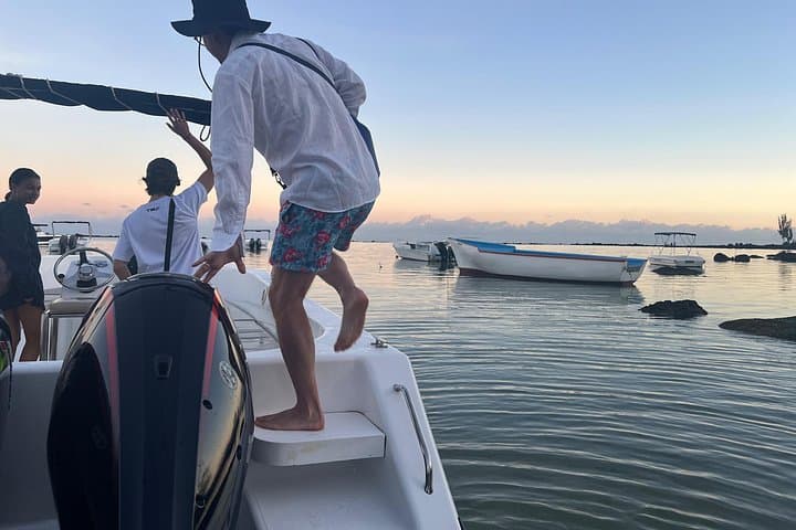 Mauritius Whale and Dolphin Watching Expedition — West Coast Speedboat Safari photo 4