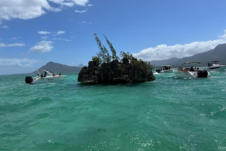 Mauritius Whale and Dolphin Watching Expedition — West Coast Speedboat Safari photo 5
