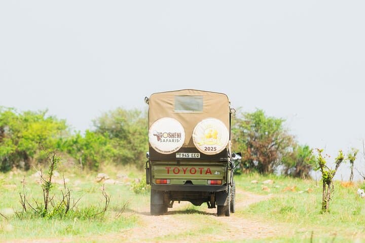 4-Day Pristine Tanzania Safari: Serengeti, Ngorongoro & Lake Manyara photo 5