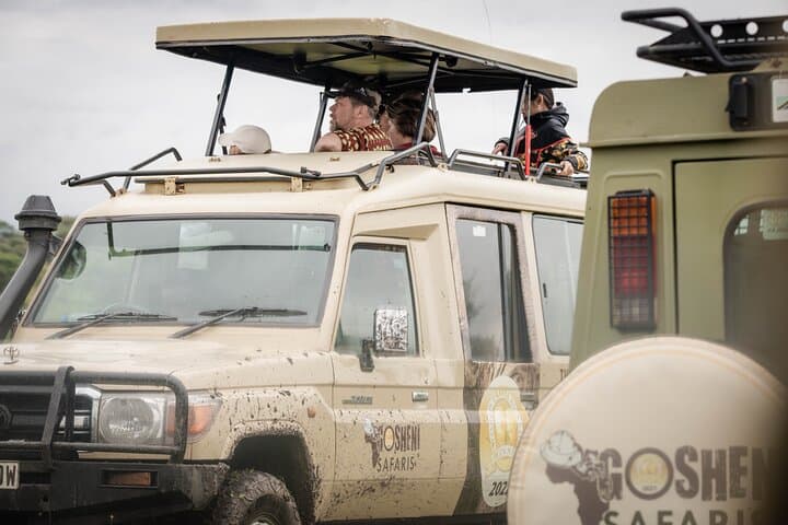 4-Day Pristine Tanzania Safari: Serengeti, Ngorongoro & Lake Manyara photo 3