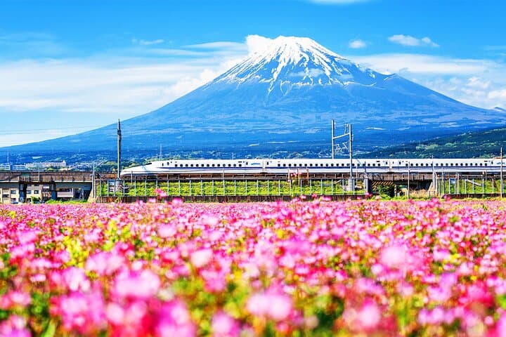 Tokyo Day Trip to Mt. Fuji & Hakone: Ropeway, Owakudani and Shinkansen Return photo 5