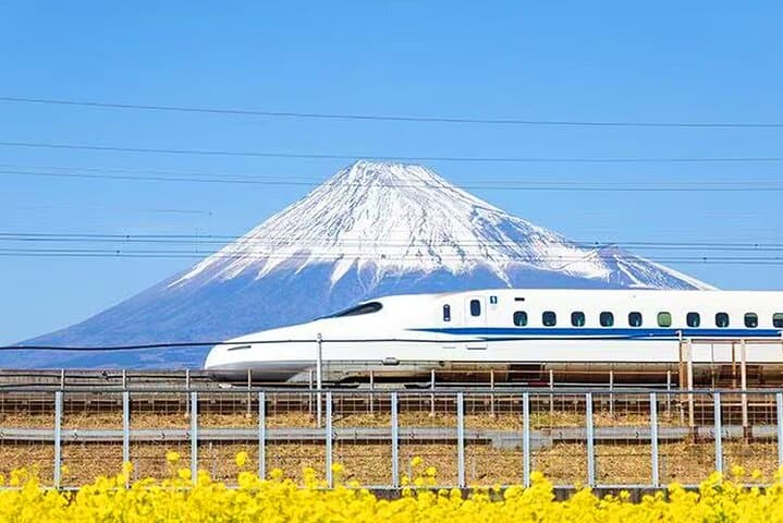 Tokyo Day Trip to Mt. Fuji & Hakone: Ropeway, Owakudani and Shinkansen Return