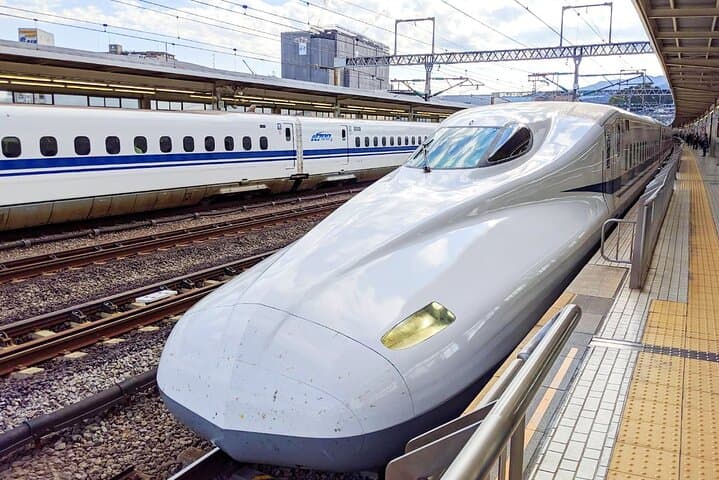 Tokyo Day Trip to Mt. Fuji & Hakone: Ropeway, Owakudani and Shinkansen Return photo 3