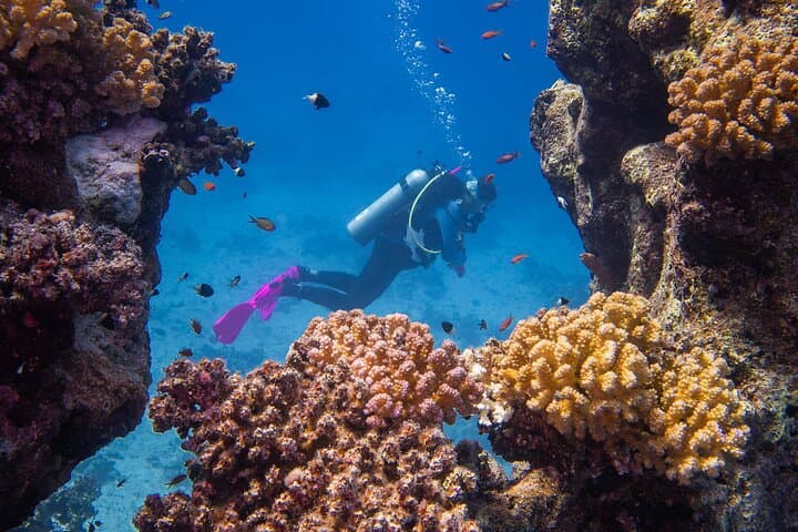 Discover Scuba Diving in Marsa Alam — Red Sea Beginner Reef Dive photo 4