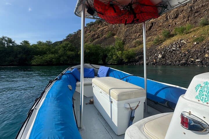 Private Kealakekua Bay Snorkel Charter — Custom Zodiac from Kailua‑Kona photo 1