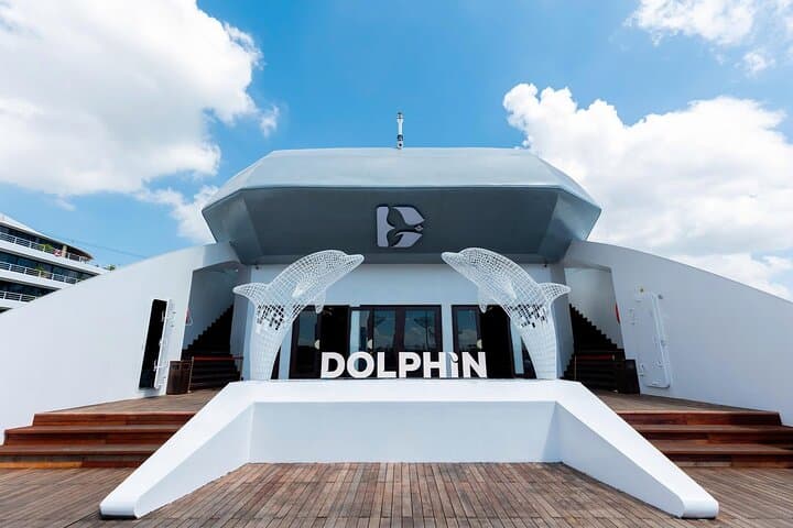 Luxury Dolphin Cruise in Ha Long Bay: Buffet Lunch, Pool & Sunset Party