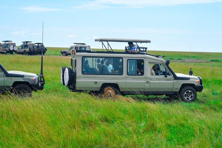 3-Day Budget Masai Mara Private Safari — Affordable Private Game Drives from Nairobi photo 1