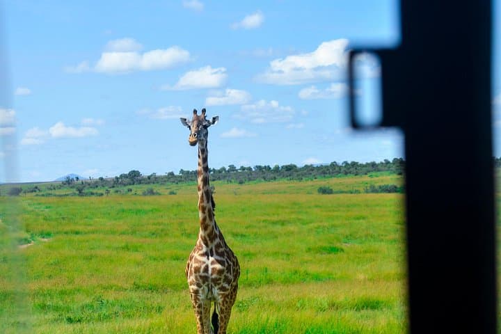 3-Day Budget Masai Mara Private Safari — Affordable Private Game Drives from Nairobi photo 3