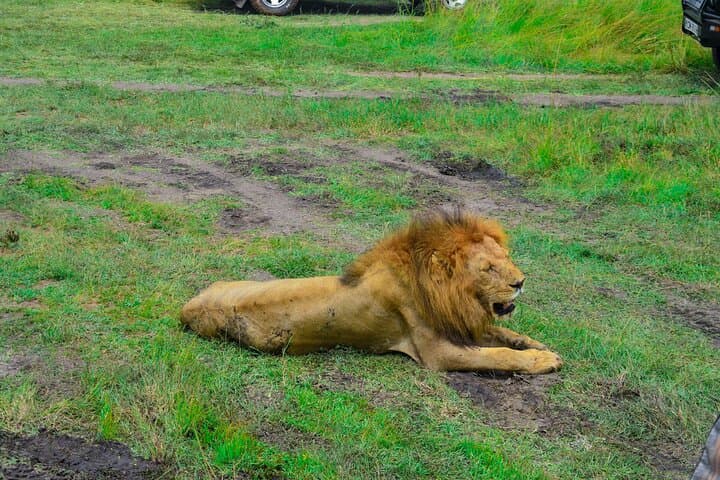 3-Day Budget Masai Mara Private Safari — Affordable Private Game Drives from Nairobi photo 4
