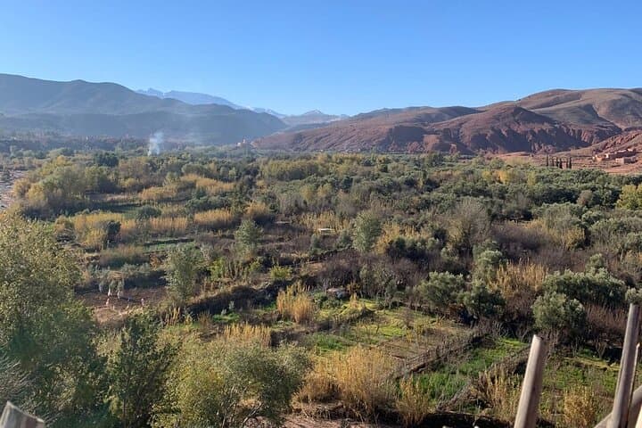 Ourika Valley Day Trip to Setti Fatma Waterfalls — From Marrakech photo 5
