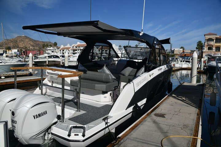 Private Cabo Snorkel & Sunset Boat Tour to El Arco — Snorkel, Sea Lions, and Open Bar photo 5