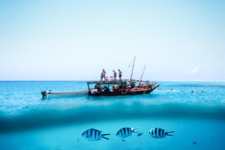 Mnemba Island Full-Day Dhow Snorkeling from Kendwa — Lunch & Open Bar