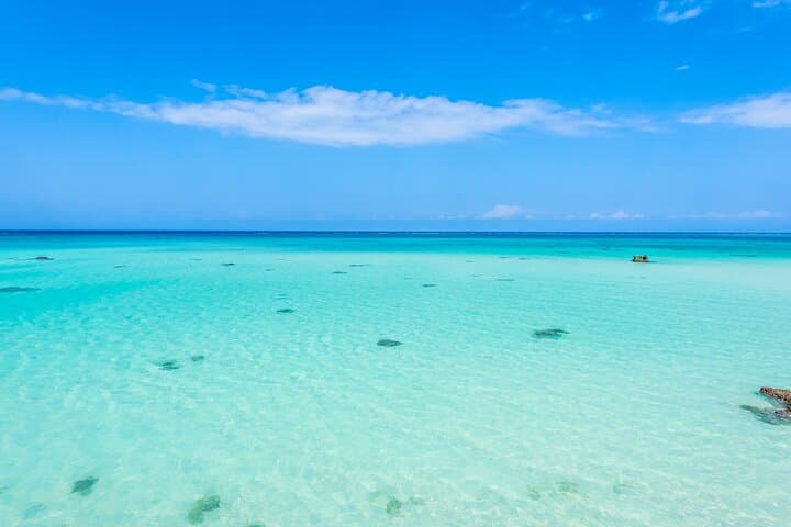 Mnemba Island Private Boat Snorkel & Dolphin Adventure from Nungwi photo 4