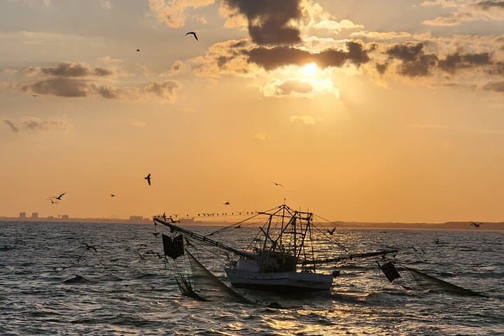 Fort Lauderdale Sunset Cruise: Waterfront Mansions, Skyline Views & Evening Wildlife photo 2