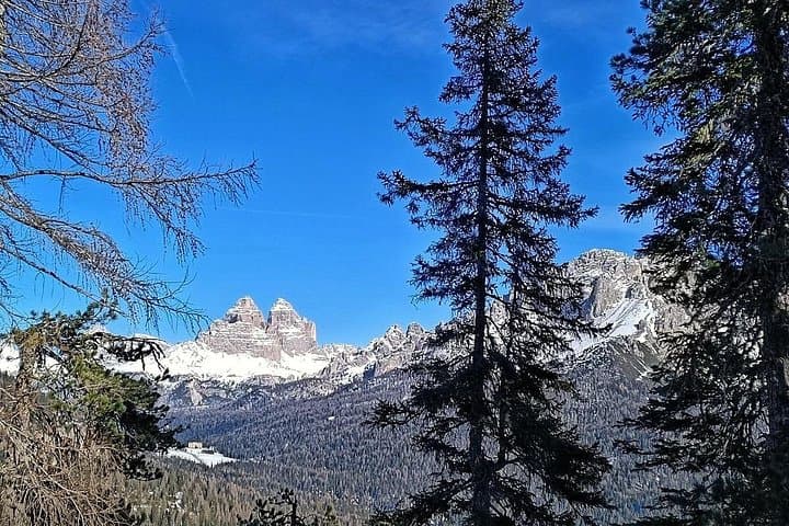 Private Guided Snow Hike on Pomagagnon — Cortina Winter Walk to Mietres Refuge photo 4