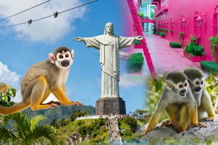 Puerto Plata City & Monkey Jungle Combo Tour — Amber Museum, Rum Tastings & Fort San Felipe