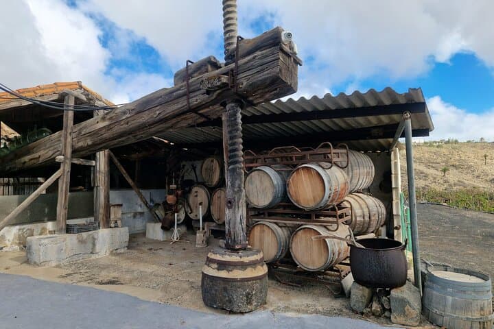 Gran Canaria Volcanoes & Wine Private Tour for Cruisers photo 6