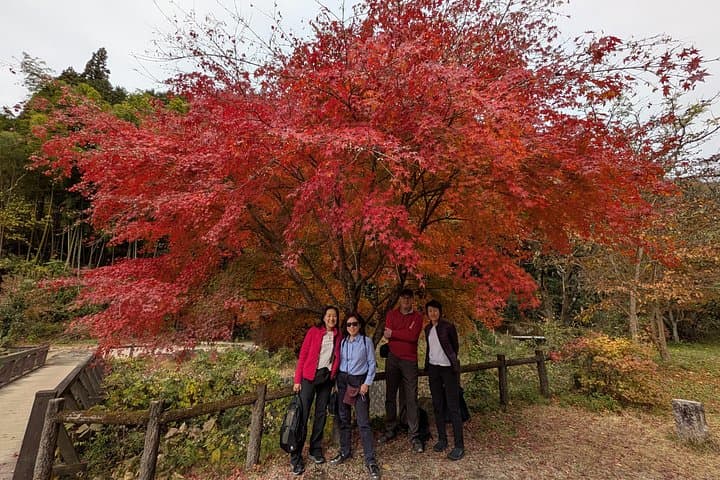 Private Nakasendo Hike: Magome to Tsumago Day Tour from Nagoya photo 4