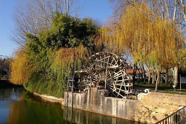 Tomar Private Walking Tour: Templar Tomar, Medieval Synagogue & Historic Sights photo 6