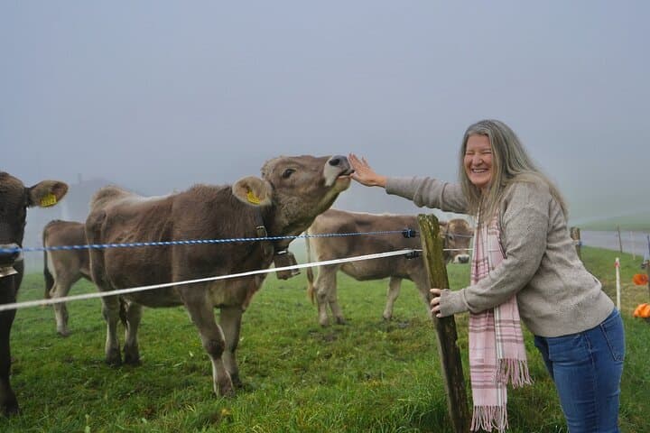 Five-Day Switzerland Highlights: Jungfraujoch, Rhine Falls & Lucerne photo 6