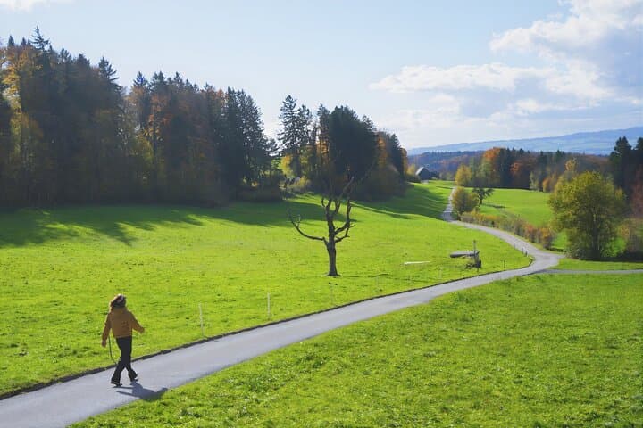 Zurich Private Photo Tour & Felsenegg Cable Car Experience photo 2