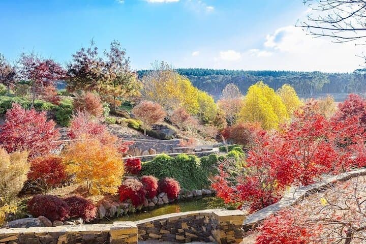 Mayfield Garden Autumn Day Tour from Sydney with Echo Point Stop photo 2