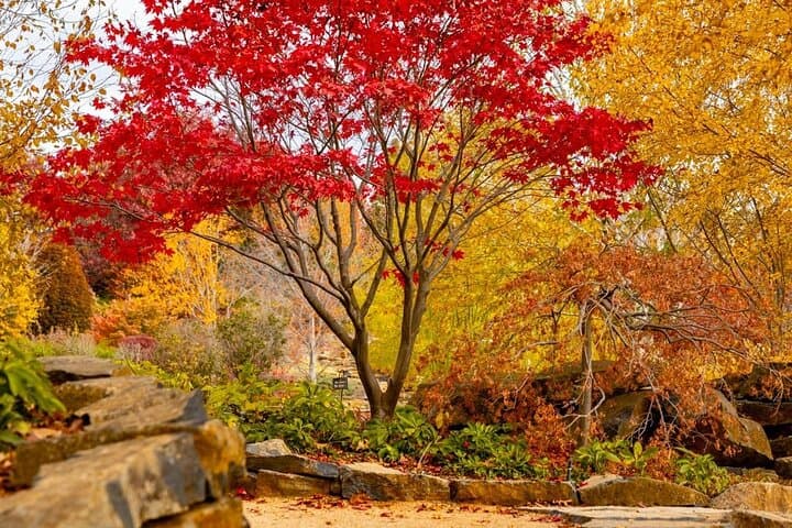 Mayfield Garden Autumn Day Tour from Sydney with Echo Point Stop photo 3