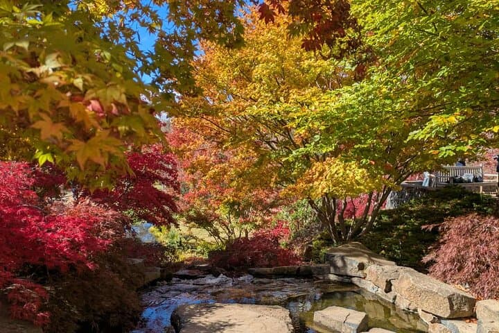 Mayfield Garden Autumn Day Tour from Sydney with Echo Point Stop photo 6